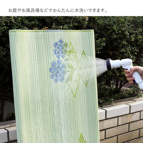 􂦂邢J[ybg@PPO@{ԂSCT