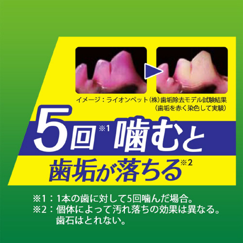 odsjhrrH݂̎KY^