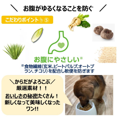 t@[Xg`CX@brP