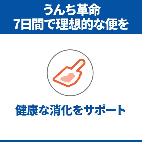 TCGXE_CGbgLp̌NT|[