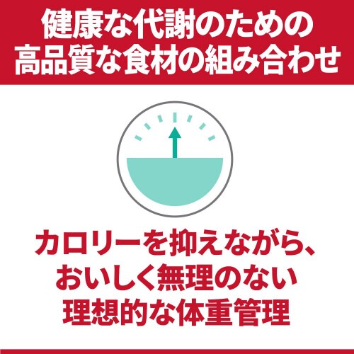 TCGXE_CGbgʃT|[g