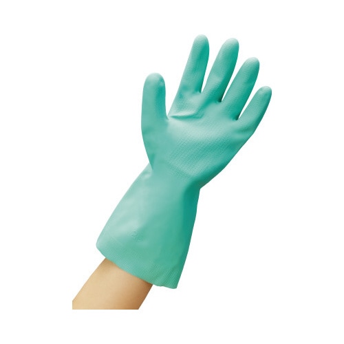 ������܁@�V�R�S���@������