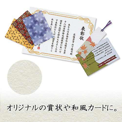 CNWFbgp@a@@`S@PO