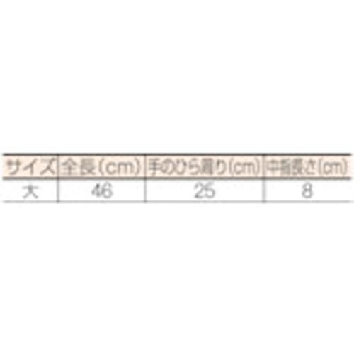 dCpSܕʁ@^