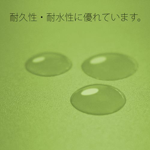 ootbgt@C`ScƂkO[@PO