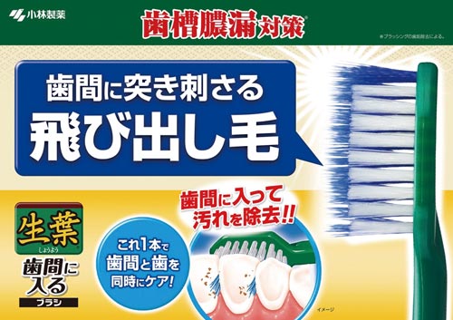 小林製薬 生葉歯間に入るブラシコンパクトふつう 幅42×奥行