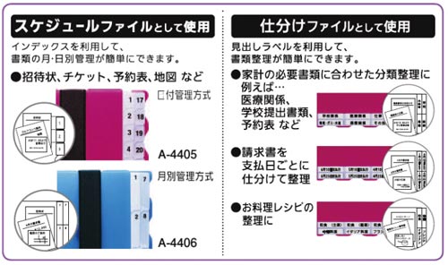 リヒトラブ スケジュール 仕分けファイル 乳白ａ５ ３１仕切り カウネット