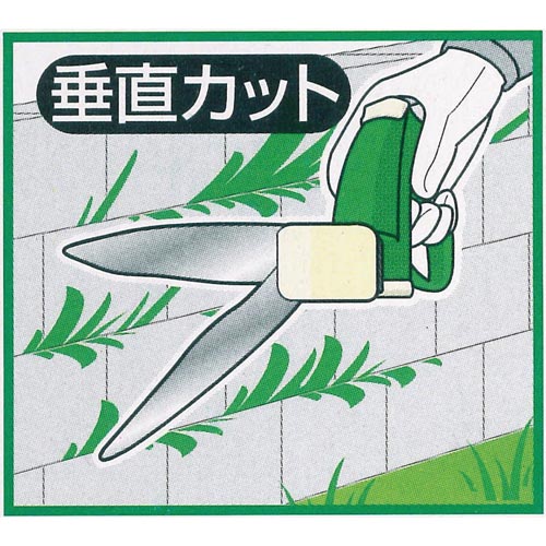]ЎŐ