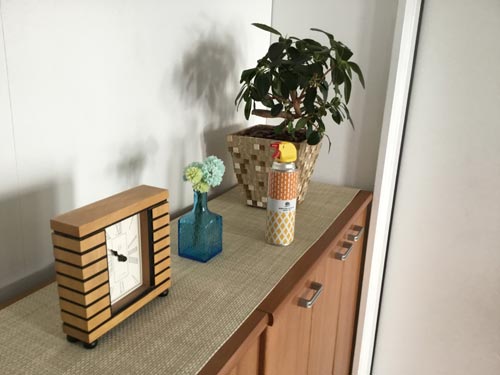 アース製薬 虫コロリアーススーパージェットスペシャルデザイン カウネット