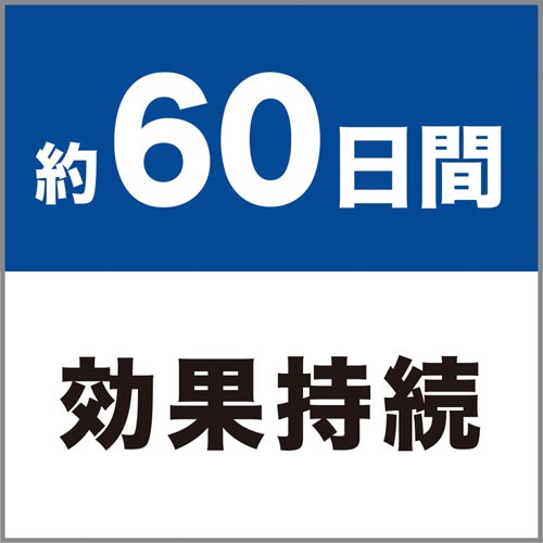 L̓vO@`F[ubT@t