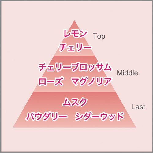 L̓vO@`F[ubT@t