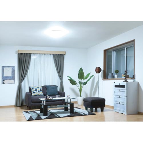 �k�d�c�V�[�����O�@�r�����������k