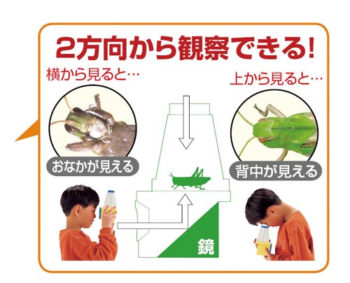 ܂錩_uώ@