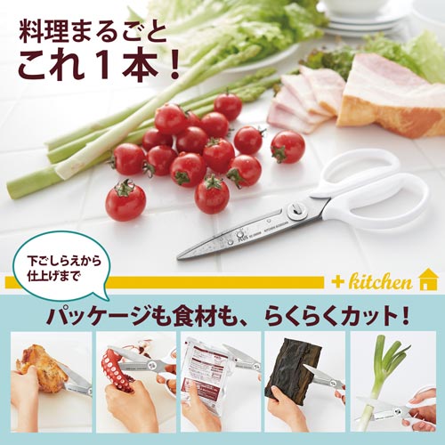 ebb@͂݁@@}bV[zCg