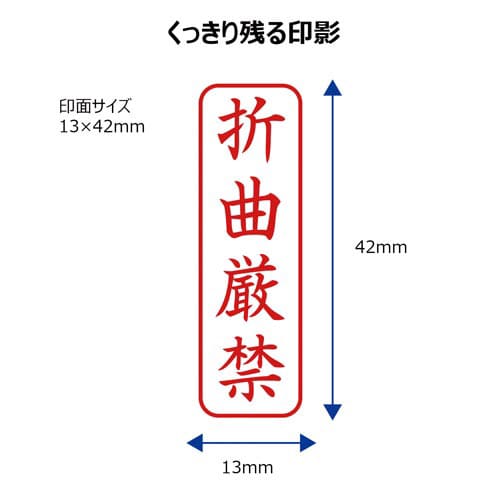 X2ビジネス キャップレスB型