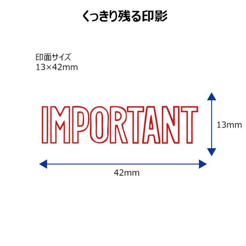 X2ビジネス キャップレスB型