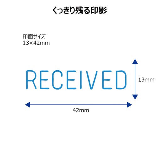X2ビジネス キャップレスB型