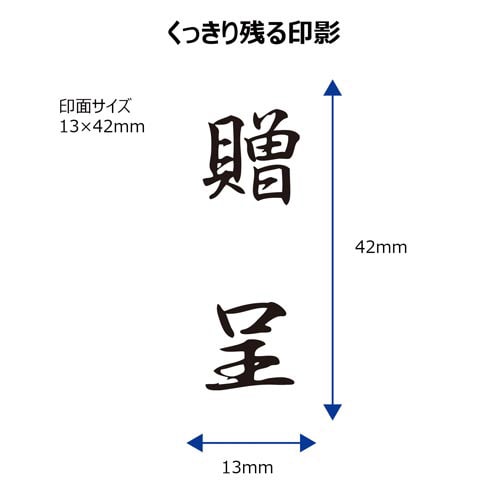 X2ビジネス キャップレスB型