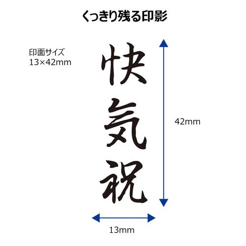 X2ビジネス キャップレスB型