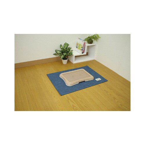 �g�C���̉��ɕ~���}�b�g