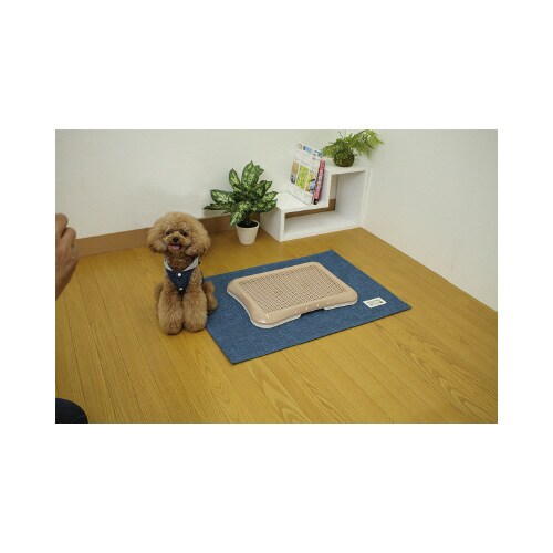 �g�C���̉��ɕ~���}�b�g