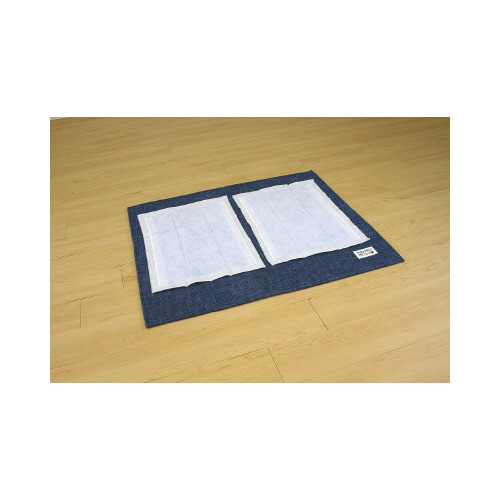 �g�C���̉��ɕ~���}�b�g�k