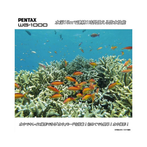 本格防水アウトドアカメラ