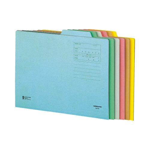 個別フォルダー カラー