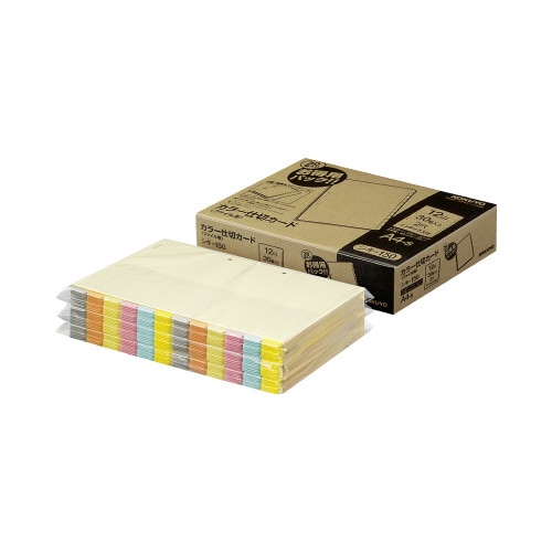 カラー仕切カード