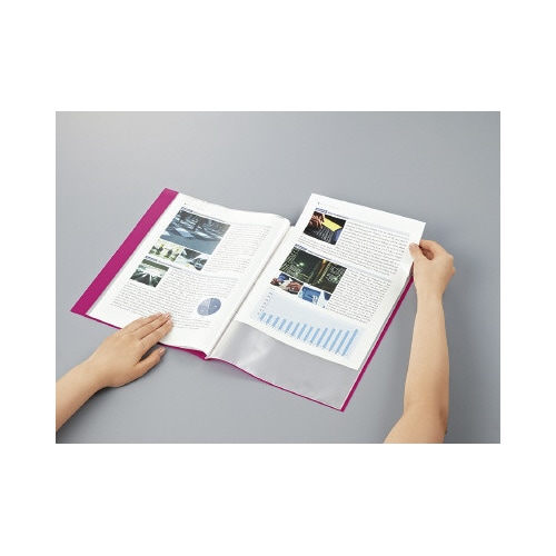 ファイルα <ノビータα>