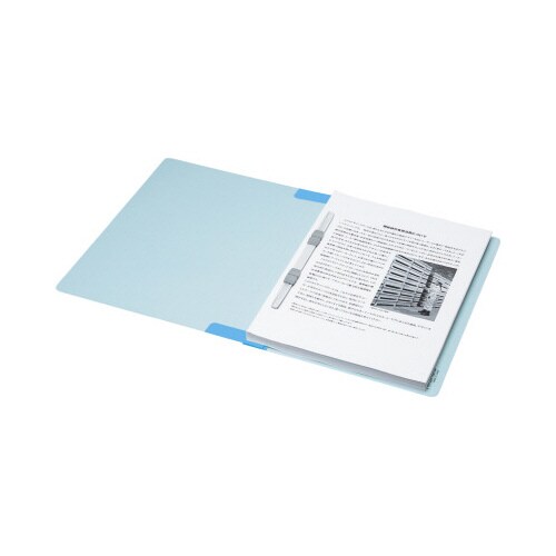 �t���b�g�t�@�C�����j�Q���i�w�⋭�^�C�v�j