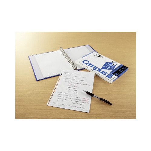 �L�����p�X�@���[�Y���[�t�i�������菑����j