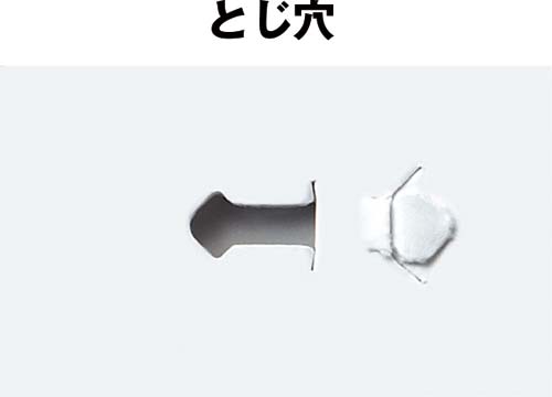 jȂXe[v[nibNXPQƂQ