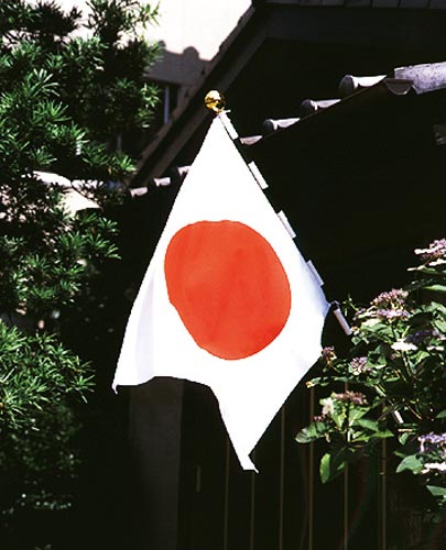 東京製旗 国旗セットA 本体：70×105cm 1セット 13560 装飾用品（ディスプレイ用）｜カウネット
