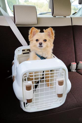 ドライブペットキャリー
