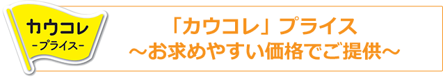 カウネット 無地ダンボール Ｎｏ．２－２（底面Ｂ４） １０枚｜カウネット