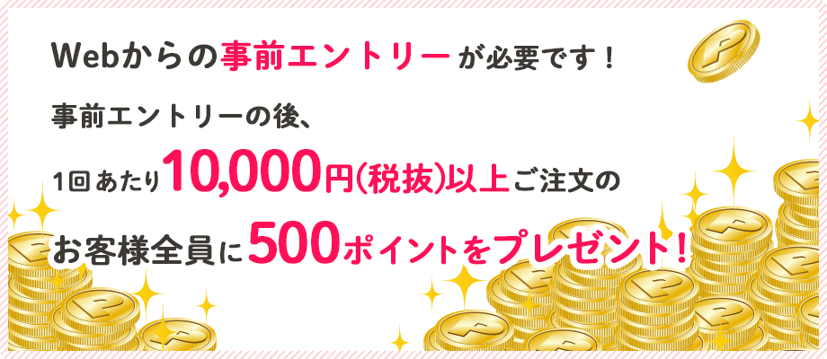 OGg[KvłIOGg[̌A1񂠂10,000~ȏゲ qlS500|Cgv[g