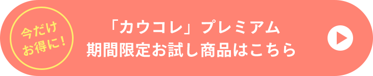 uJERvv~AԌ肨i͂