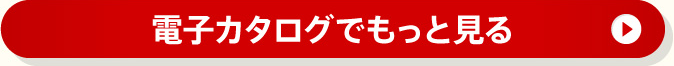 �d�q�J�^���O�ł����ƌ���