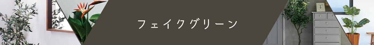 tFCNO[