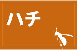 n`