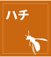 n`