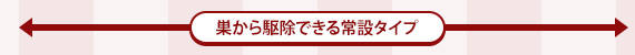 쏜ł݃^Cv