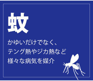  䂢łȂAeOMWJMMȂǗlXȕaC}