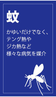  䂢łȂAeOMWJMMȂǗlXȕaC}