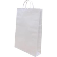 ラミネートバッグ特大10枚