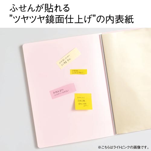 PastysmartクリアーF A4 20P緑